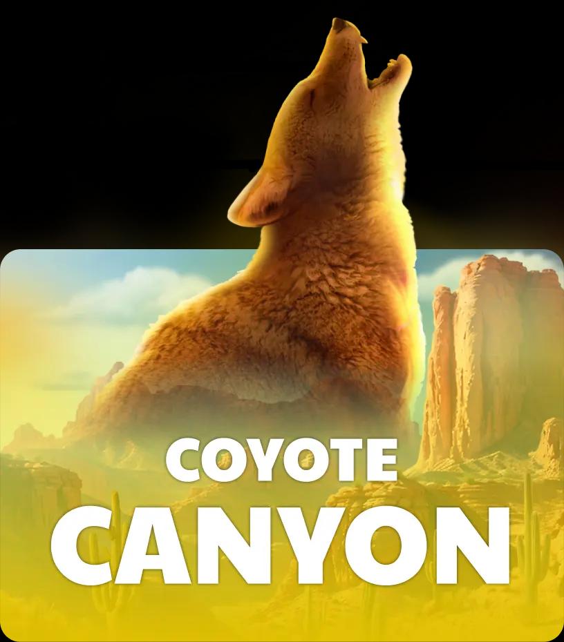 Coyote Canyon
